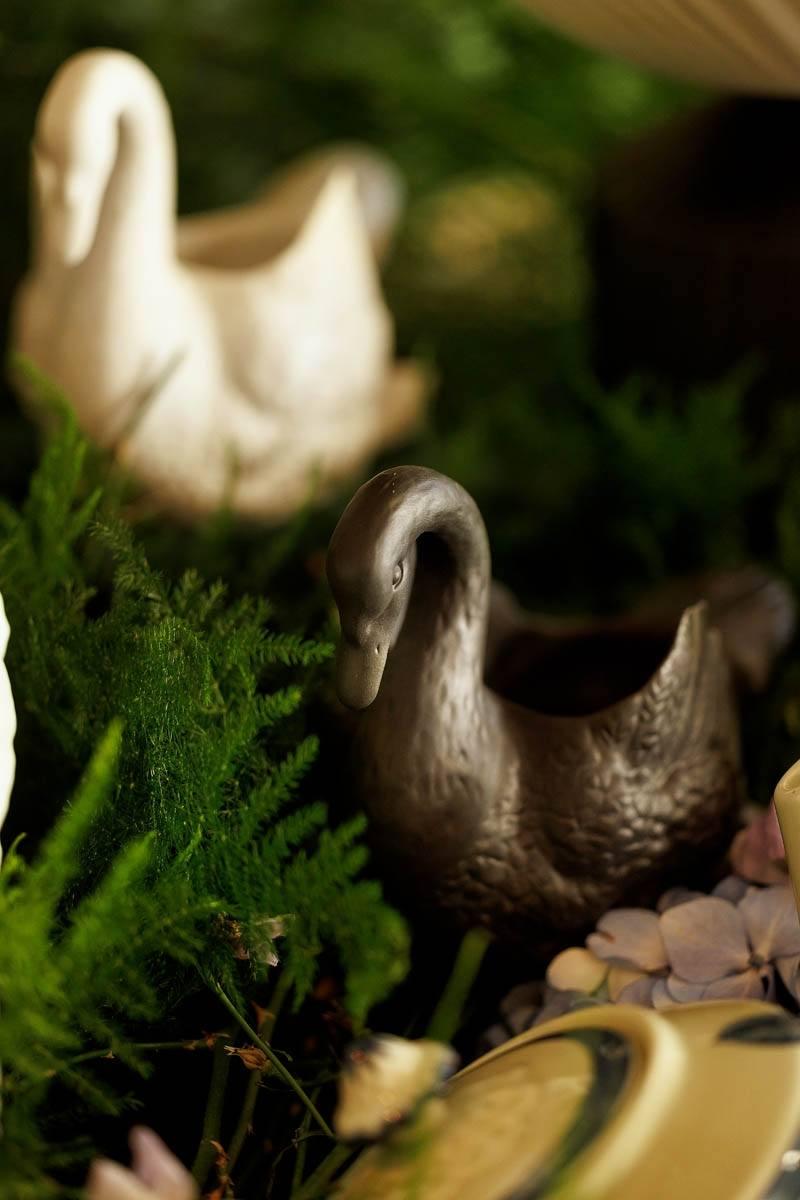 Small Black Swan