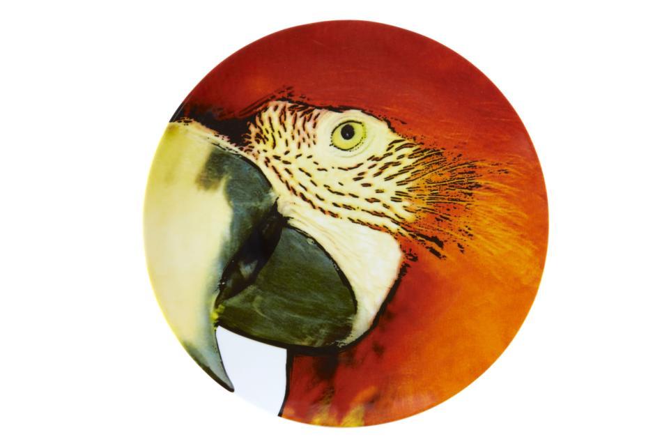 Charger Plate Red Macaw