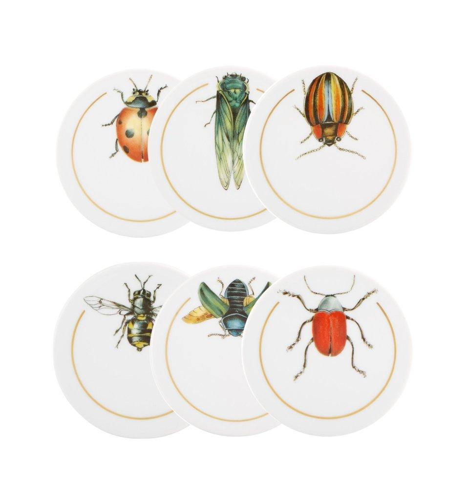 Insects Coasters ÃÂÃÂ Set of 6