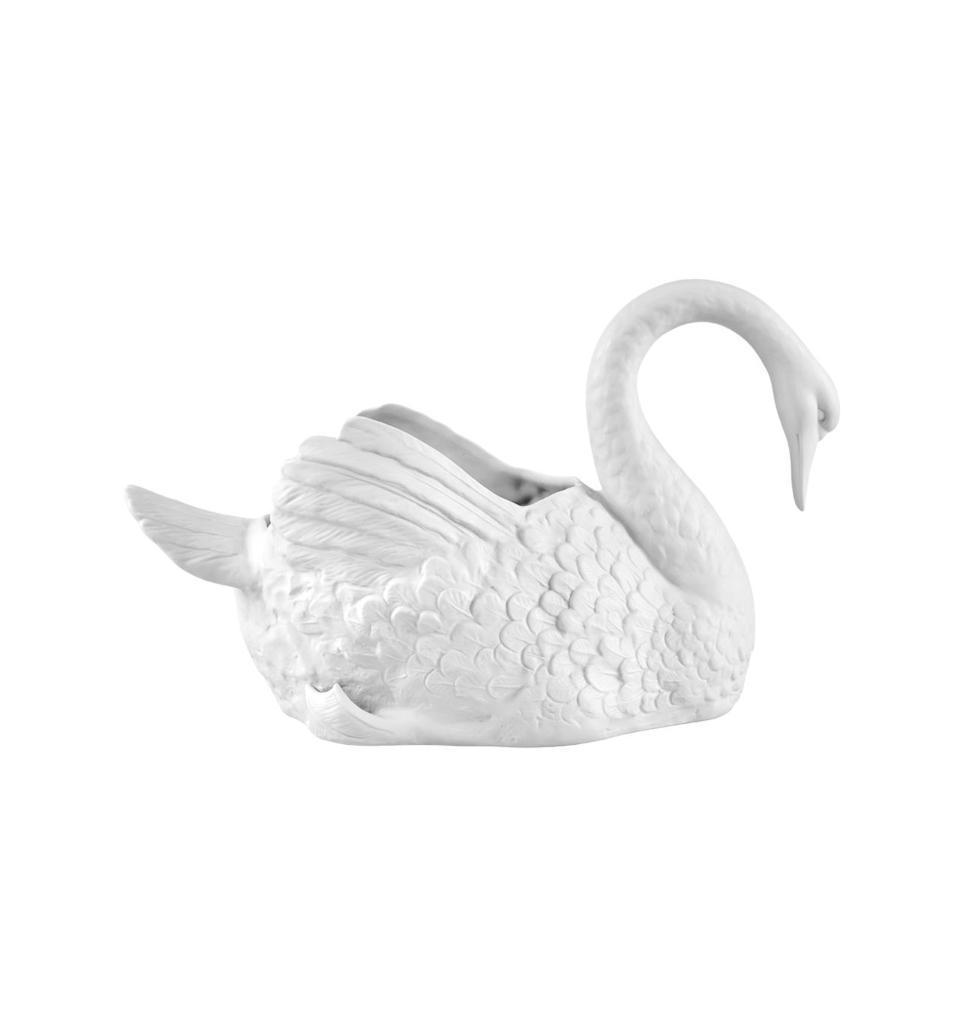 Large Swan