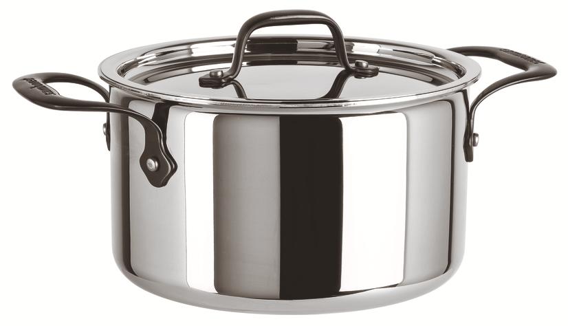 Sauce Pot w/Lid 2 Hdls - 9 1/2 in 6 qt