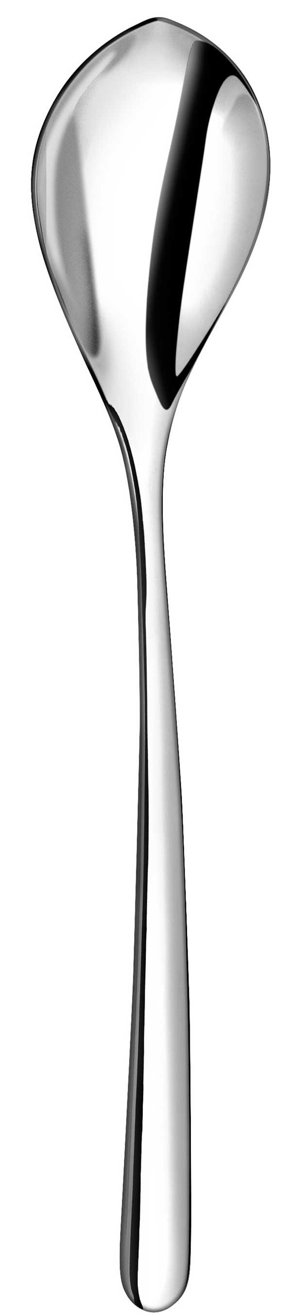 Serving Spoon
