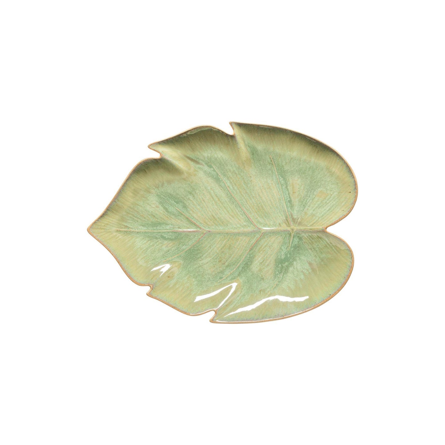Monstera leaf