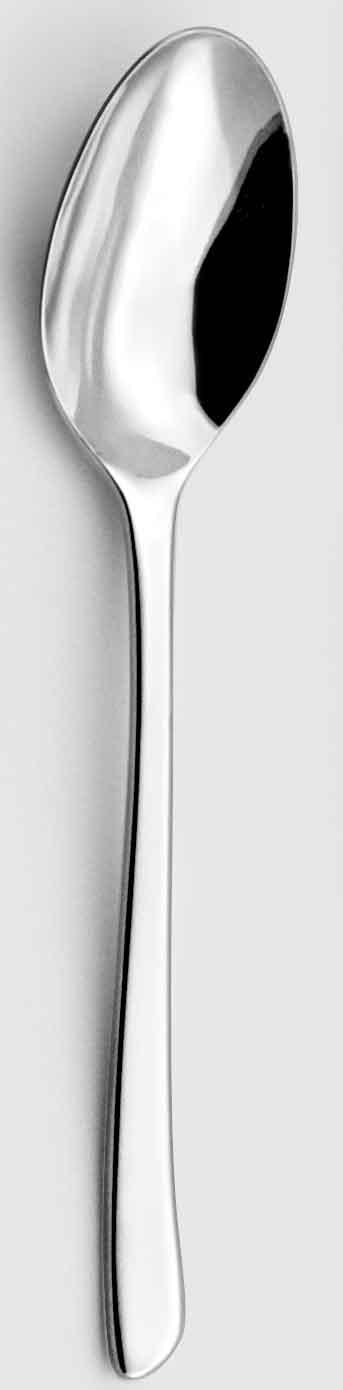 Serving Spoon