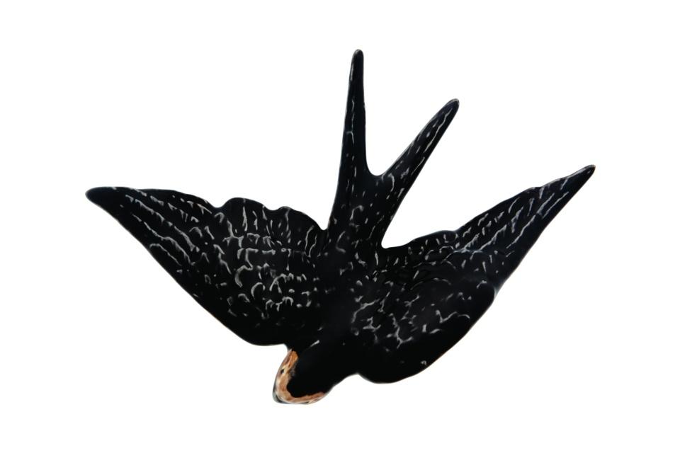 Swallow nº4 Large