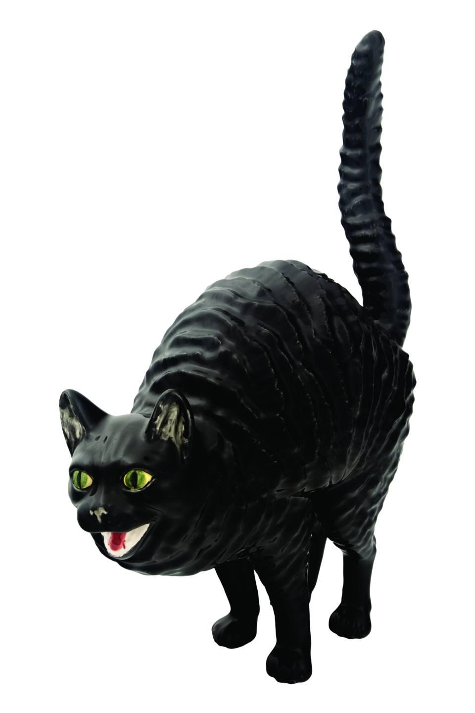 Angry cat