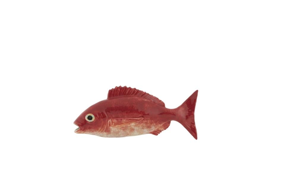 Blackspot Seabream
