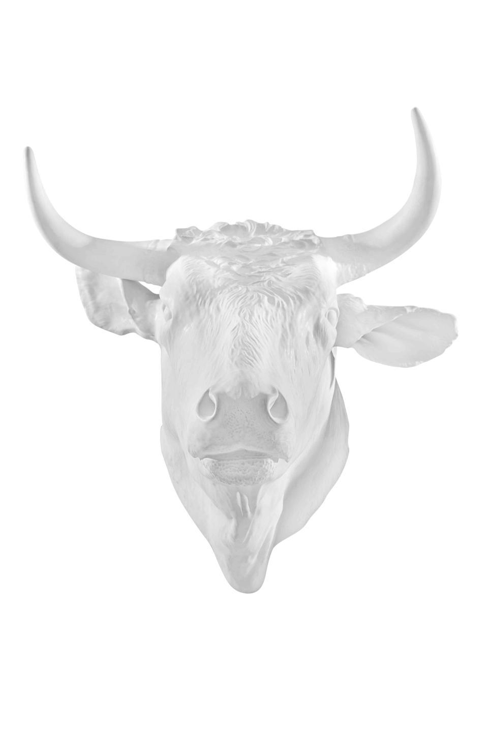 Bull Head