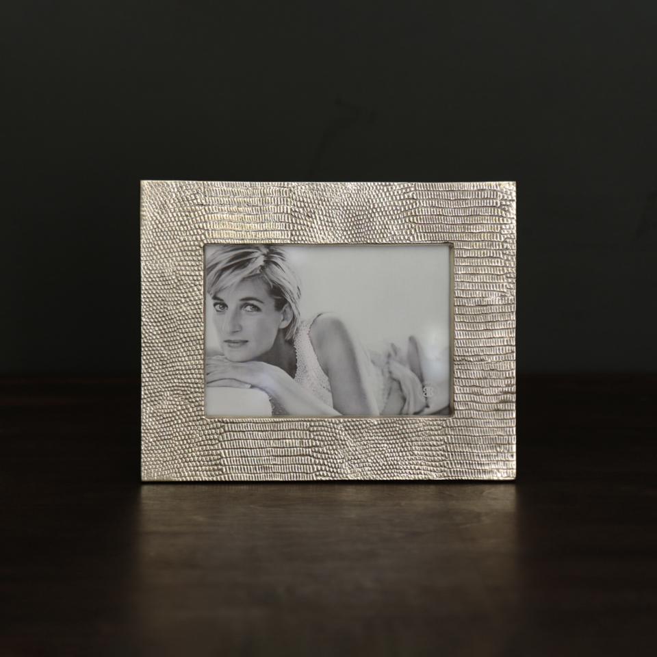 Sierra Modern Python 5 x 7 (Gold)