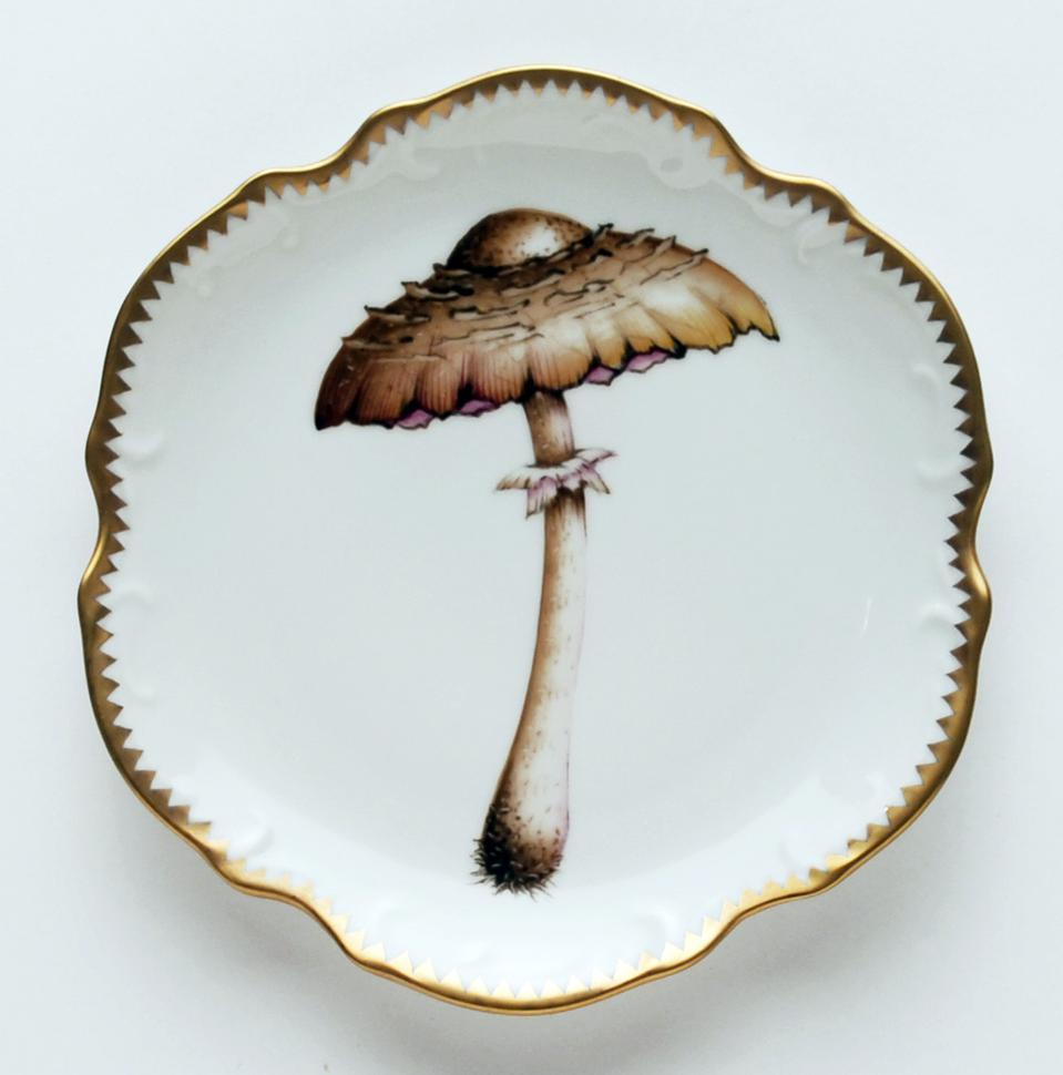 Mushroom #4 Hors D'Oeuvre Plate