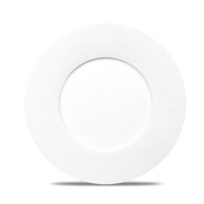 Large Dinner Plate