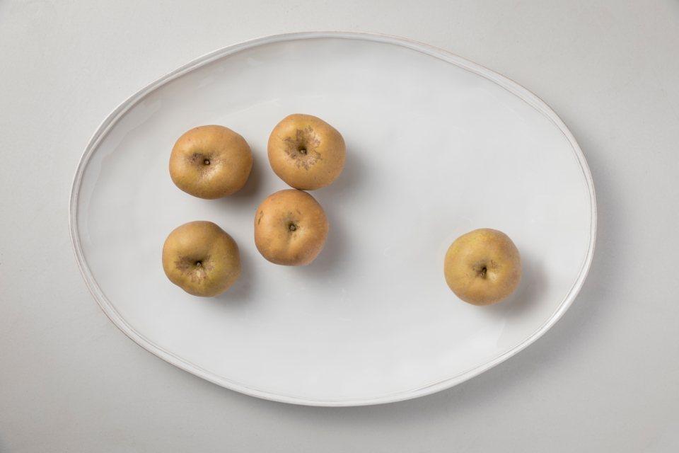 Oval Platter/ Turkey Platter 22", White