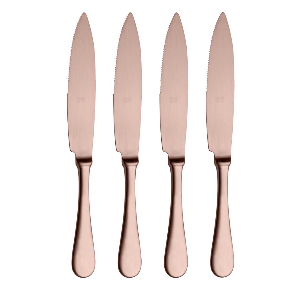 Steak Knife Set Of 4 Ice Bronze