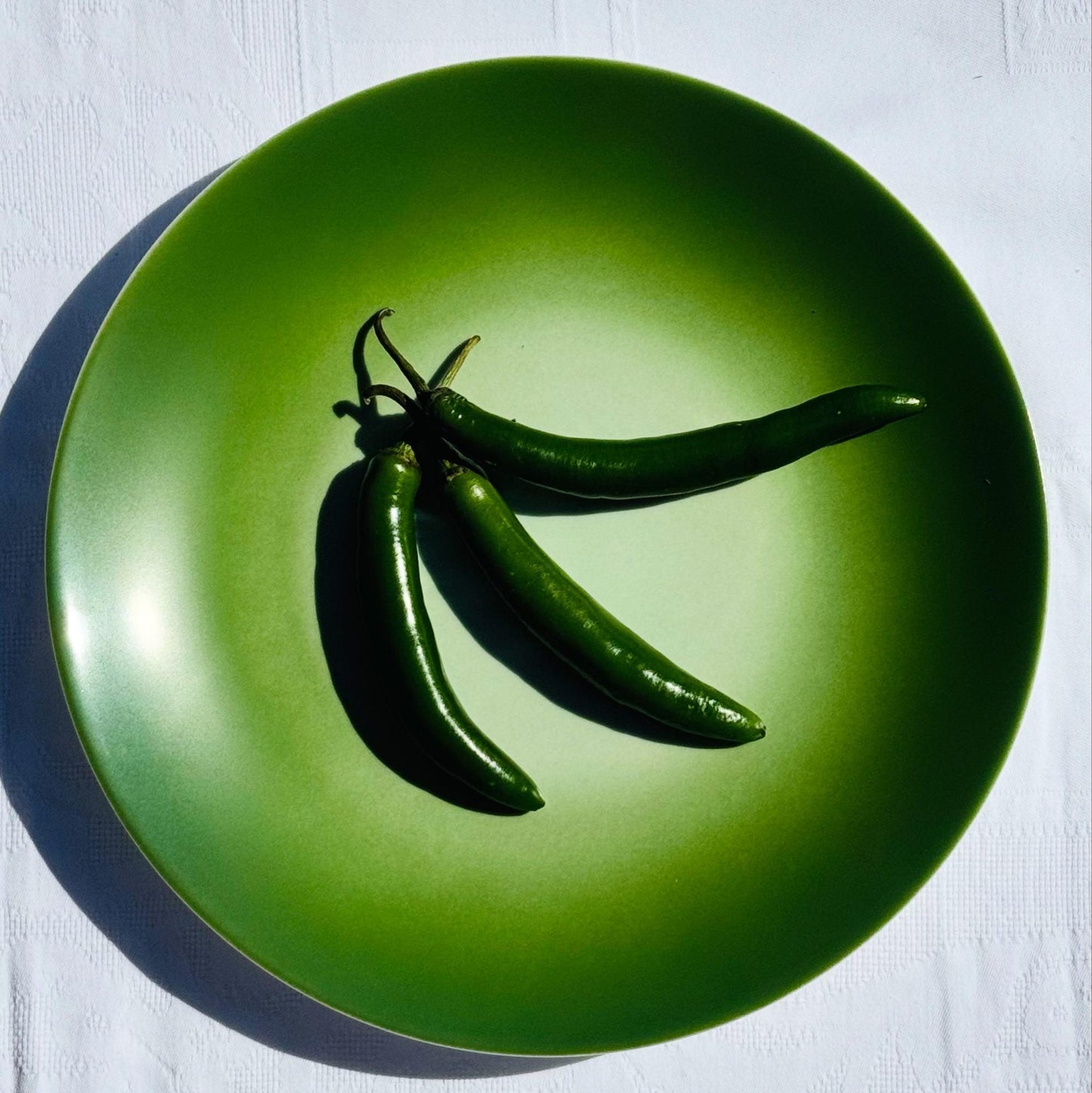 Moss green dinner plate
