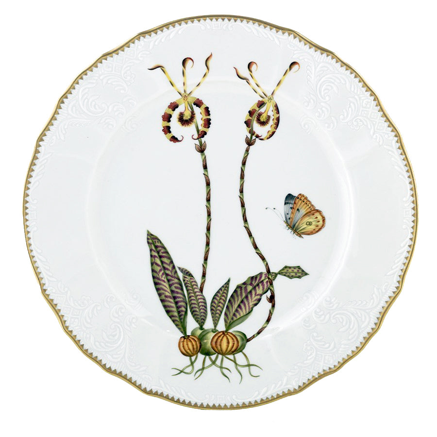 Dinner Plate x23;1