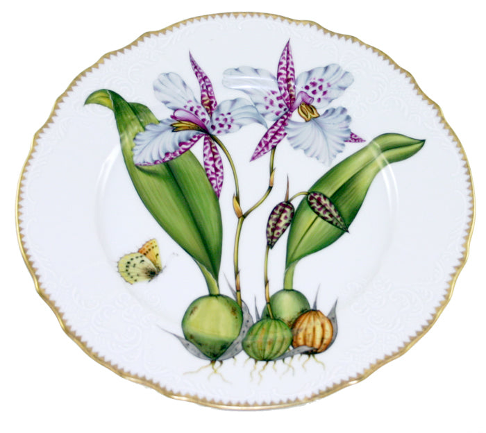 Dinner Plate #2