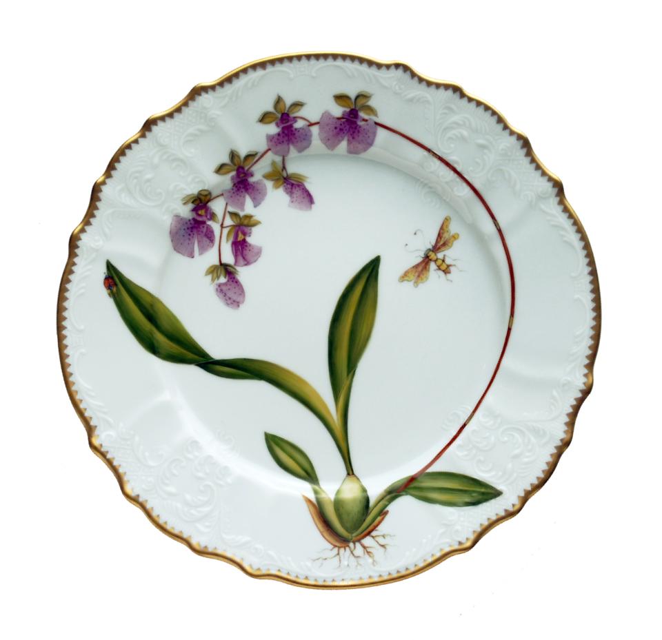Dinner Plate #6