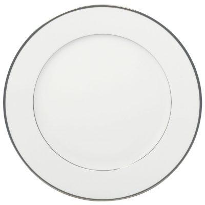 Large Dinner Plate