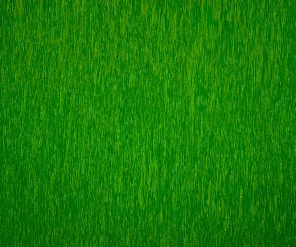 Lime Green - Set of 12