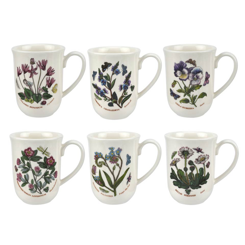 SET OF 6 ASSORTED TULIP BEAKER 11.5 OZ