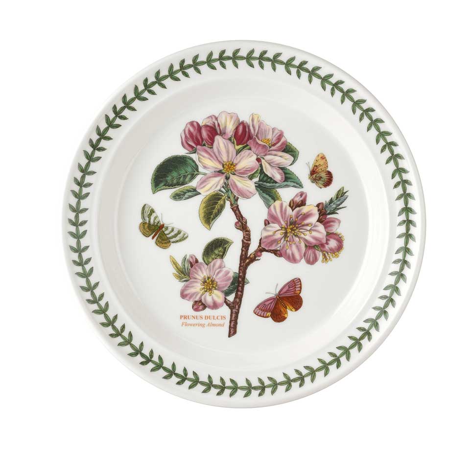 Dinner Plate (Flowering Almond)