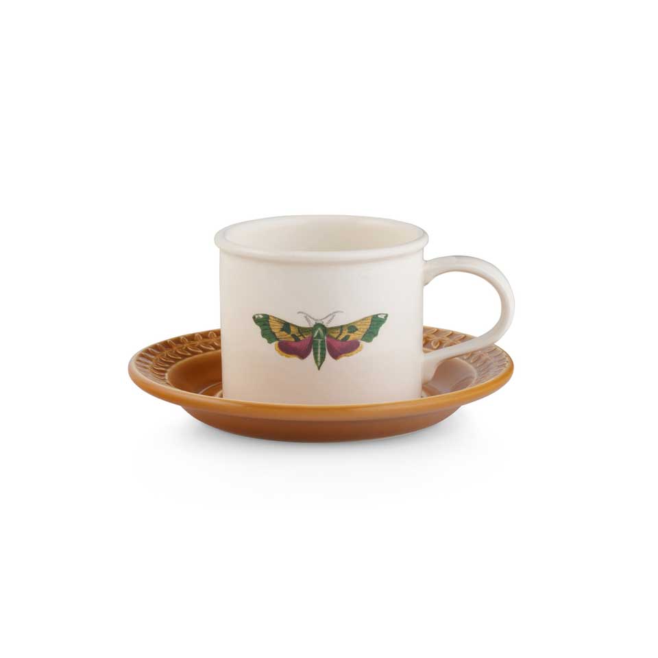 Teacup And Saucer