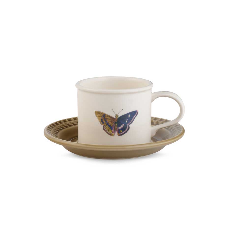 Teacup And Saucer