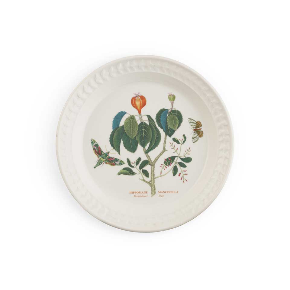 Salad Plate