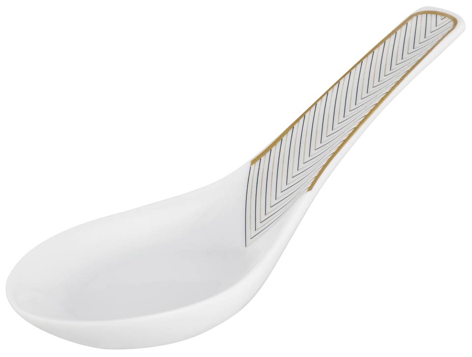 Chinese Spoon