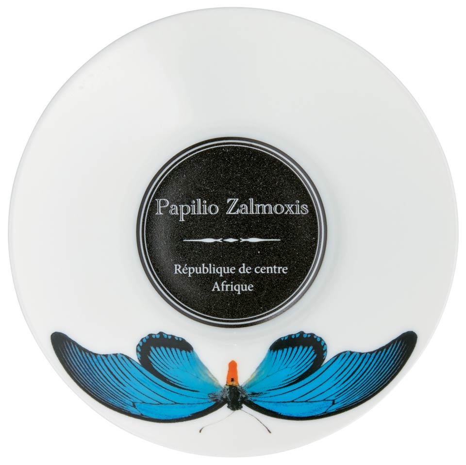 DISCONTINUED-Coffee Saucer in Turquoise Butterfly (DISCO. While Supplies Last)