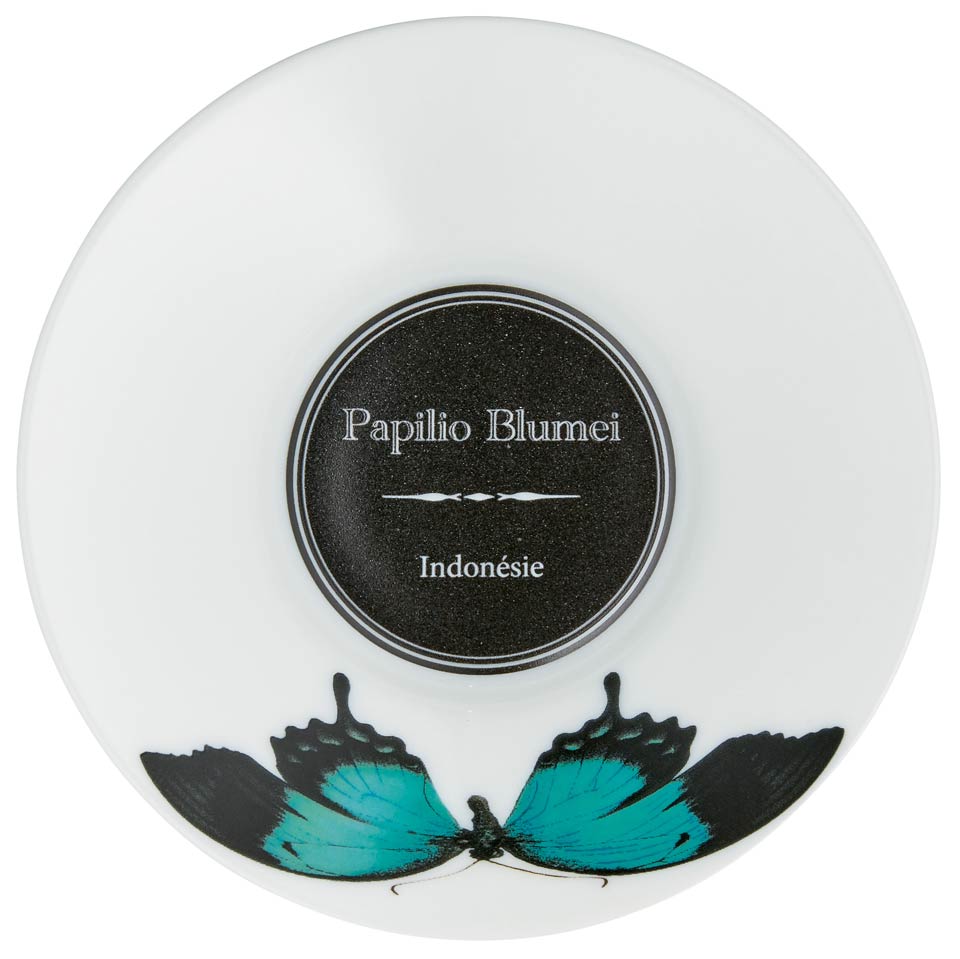DISCONTINUED-Coffee Saucer in Green Butterfly (DISCO. While Supplies Last)