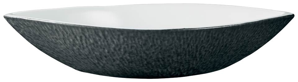 Dish N4