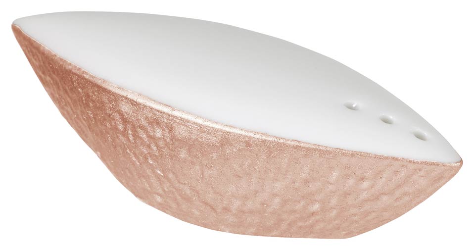 Salt Shaker