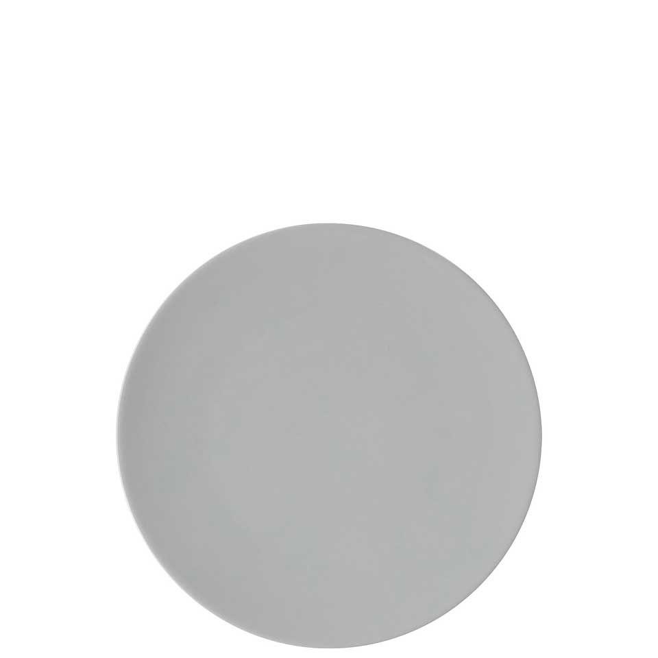 Salad Plate 8 2/3 In Grey