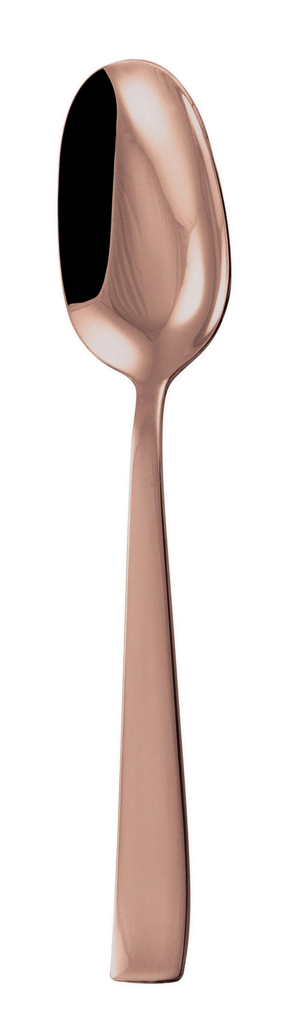 DISCONTINUED-Serving Spoon