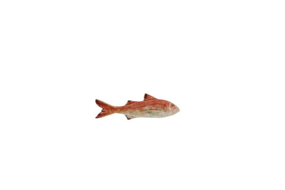 Striped Mullet
