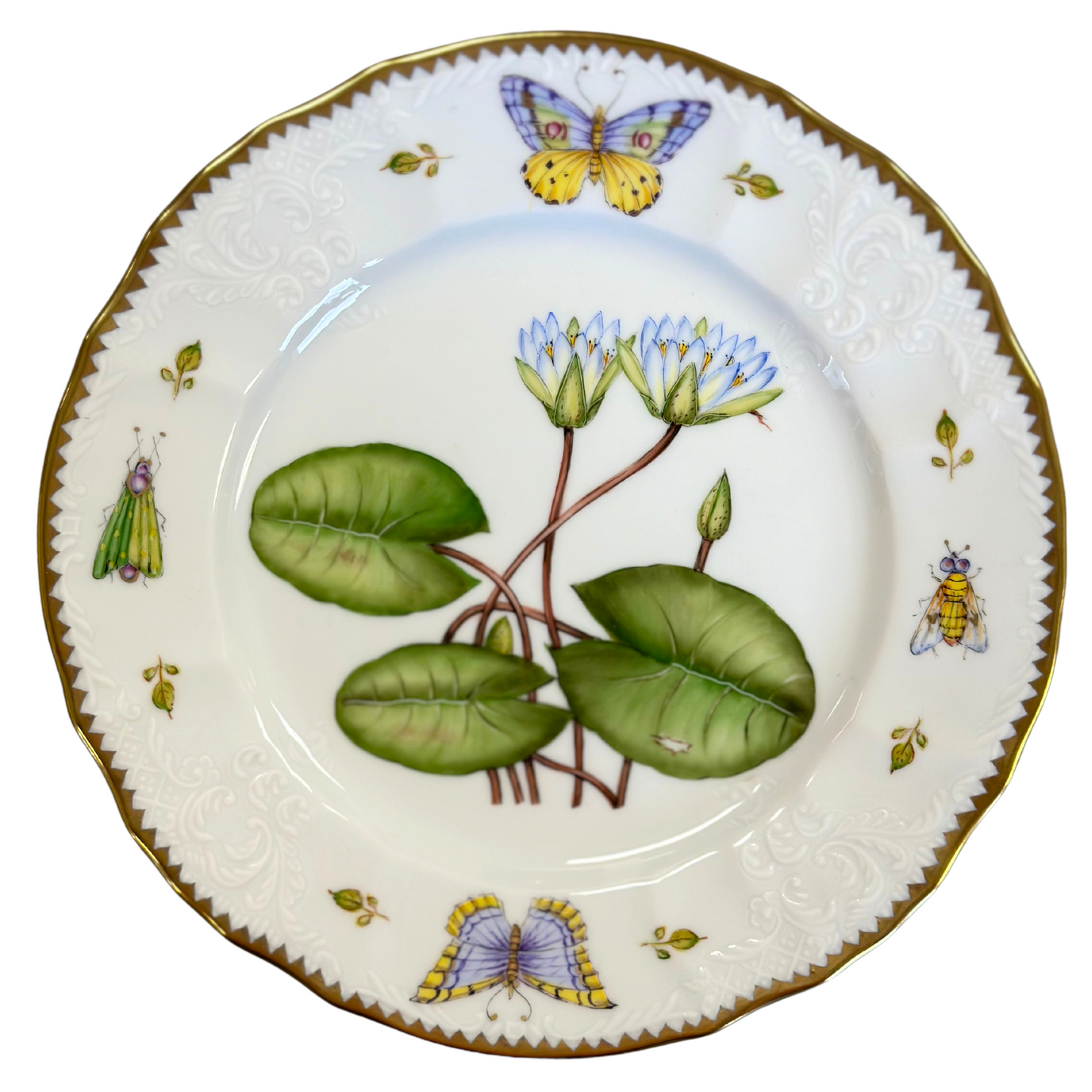 Salad w/ Border Design