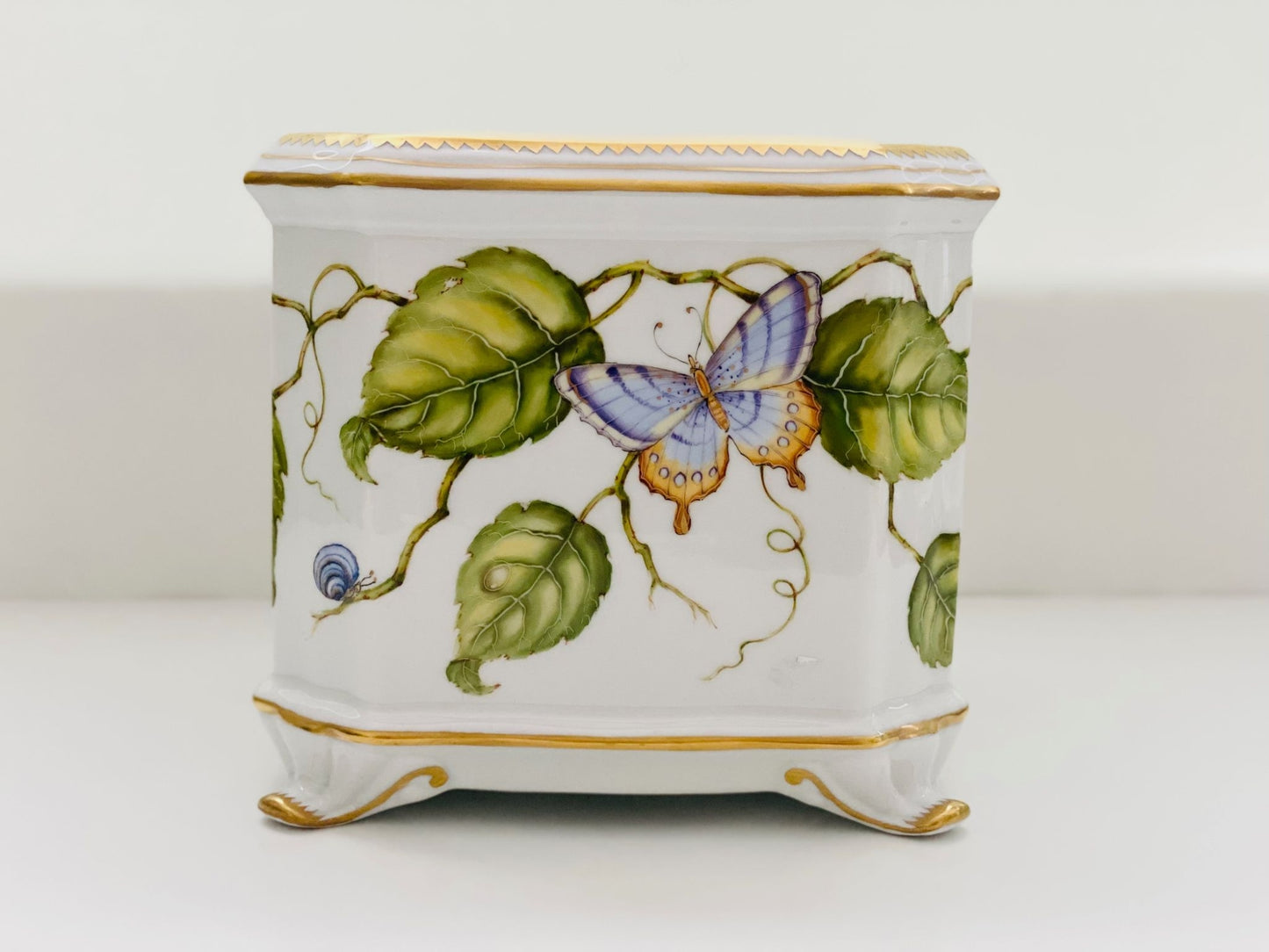 Square Cachepot Butterfly on Vine