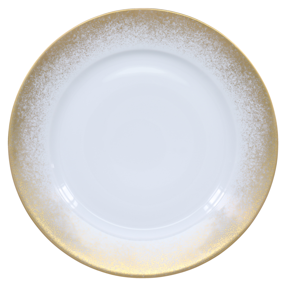 Dinner plate