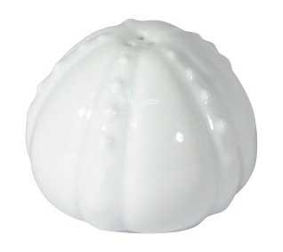 Corail Salt Shaker