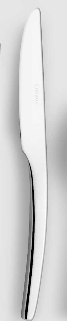 Stainless Table Knife