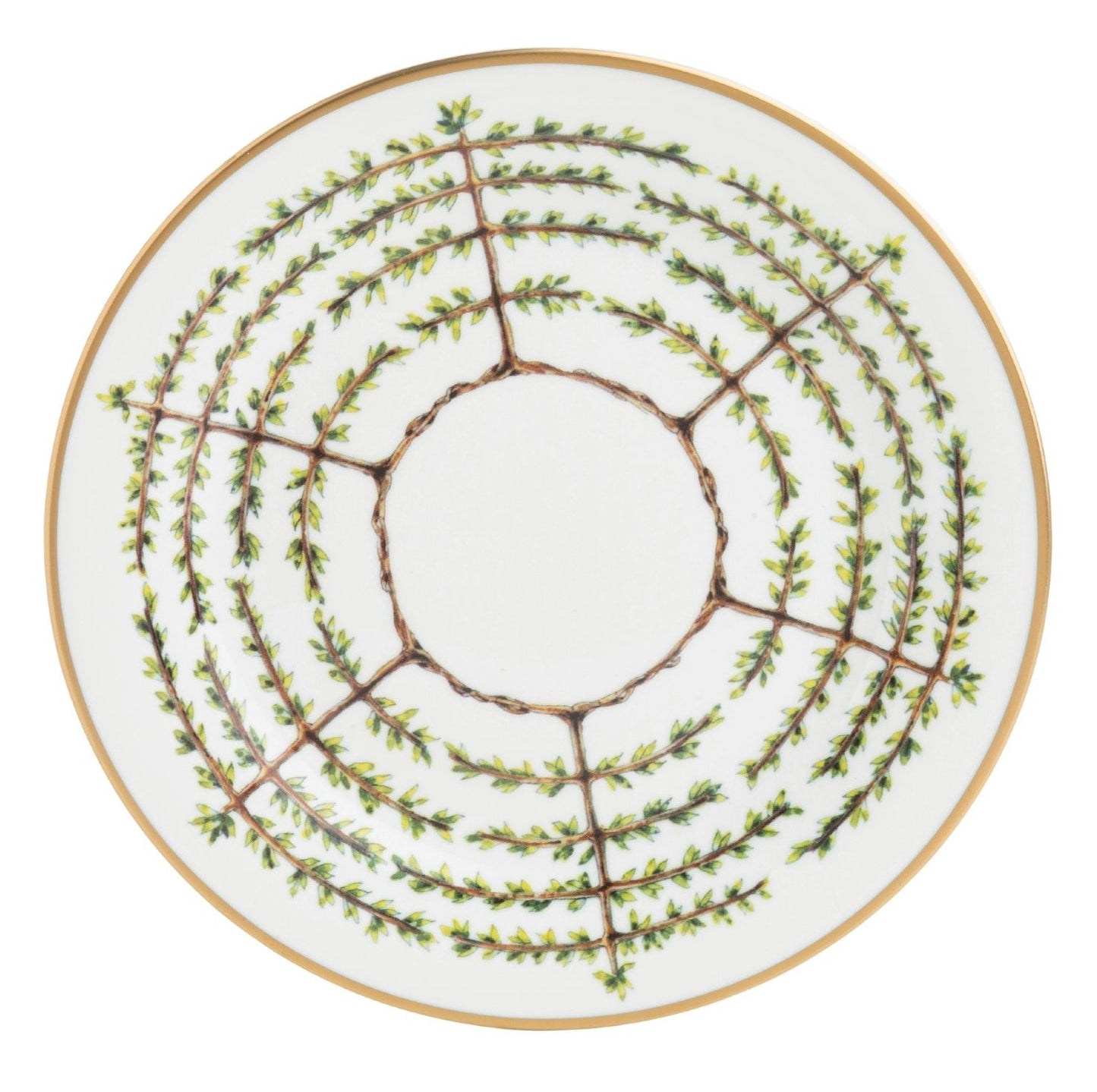 Dinner Plate