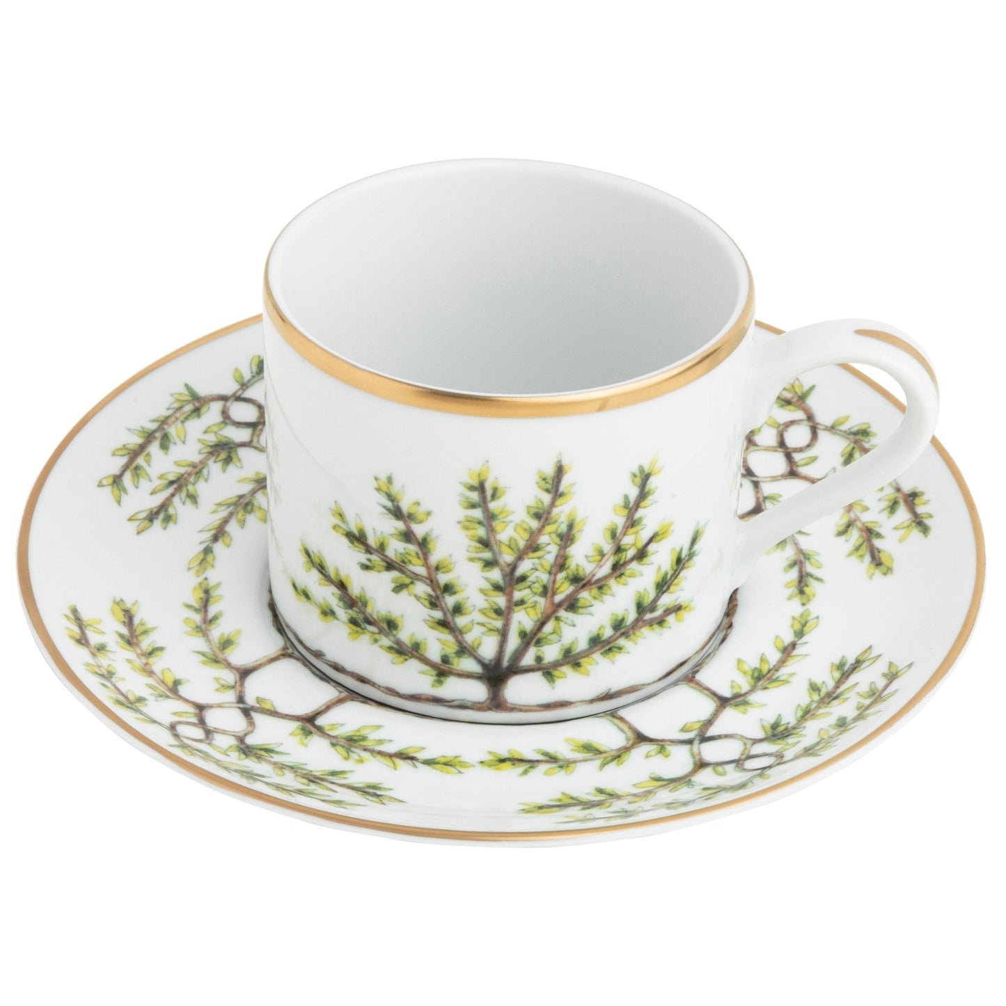 Teacup Saucer