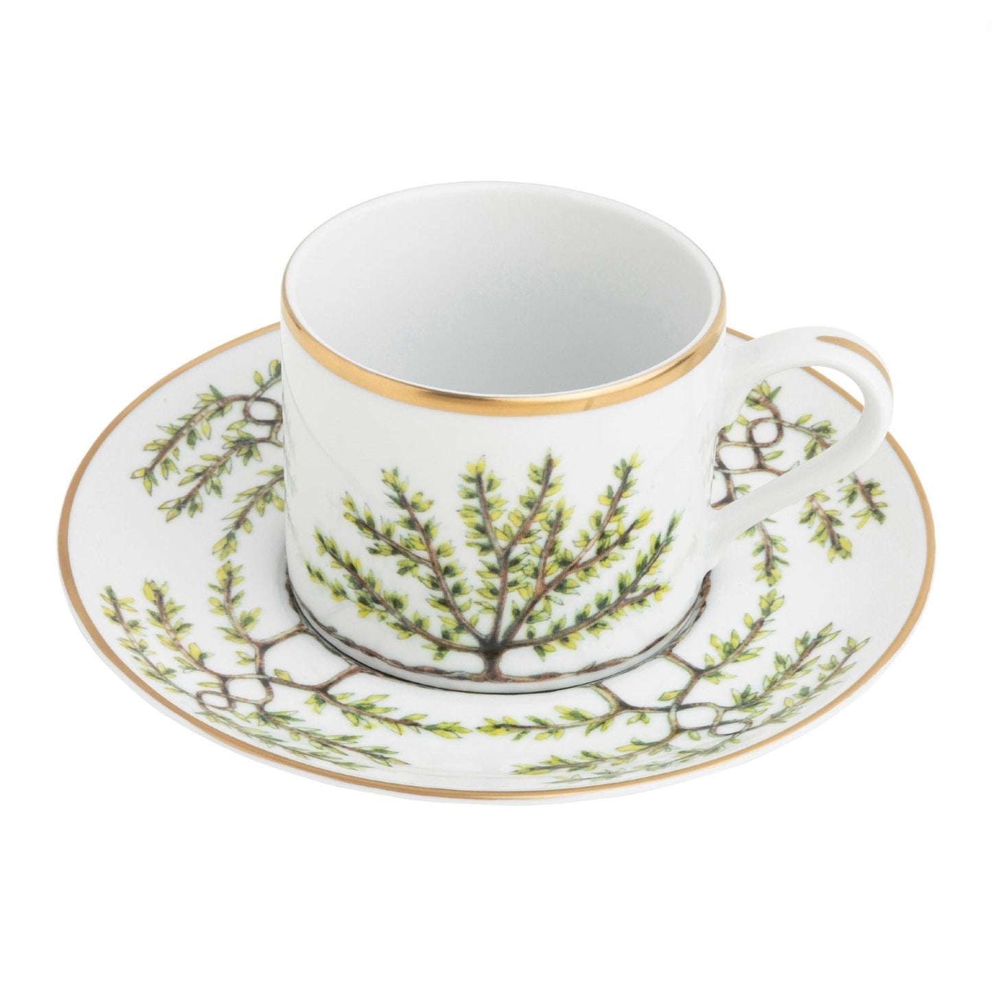 Teacup