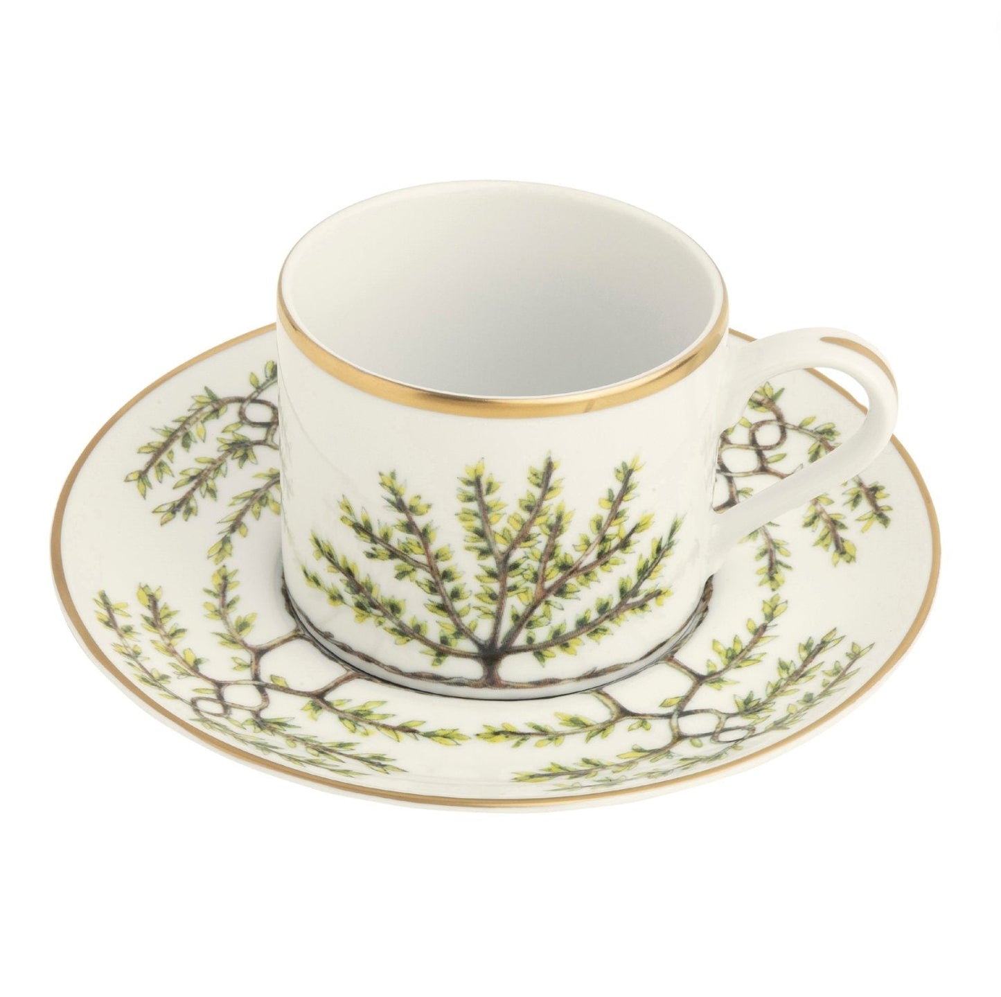 Teacup
