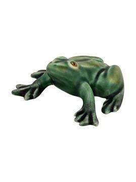 Small Frog Sitting Down