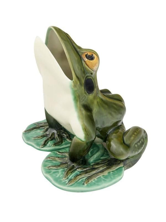 Large Frog with Open Mouth