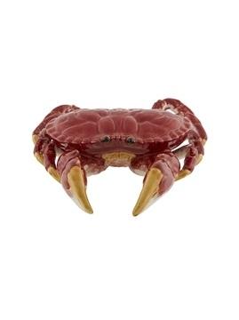 Edible Crab