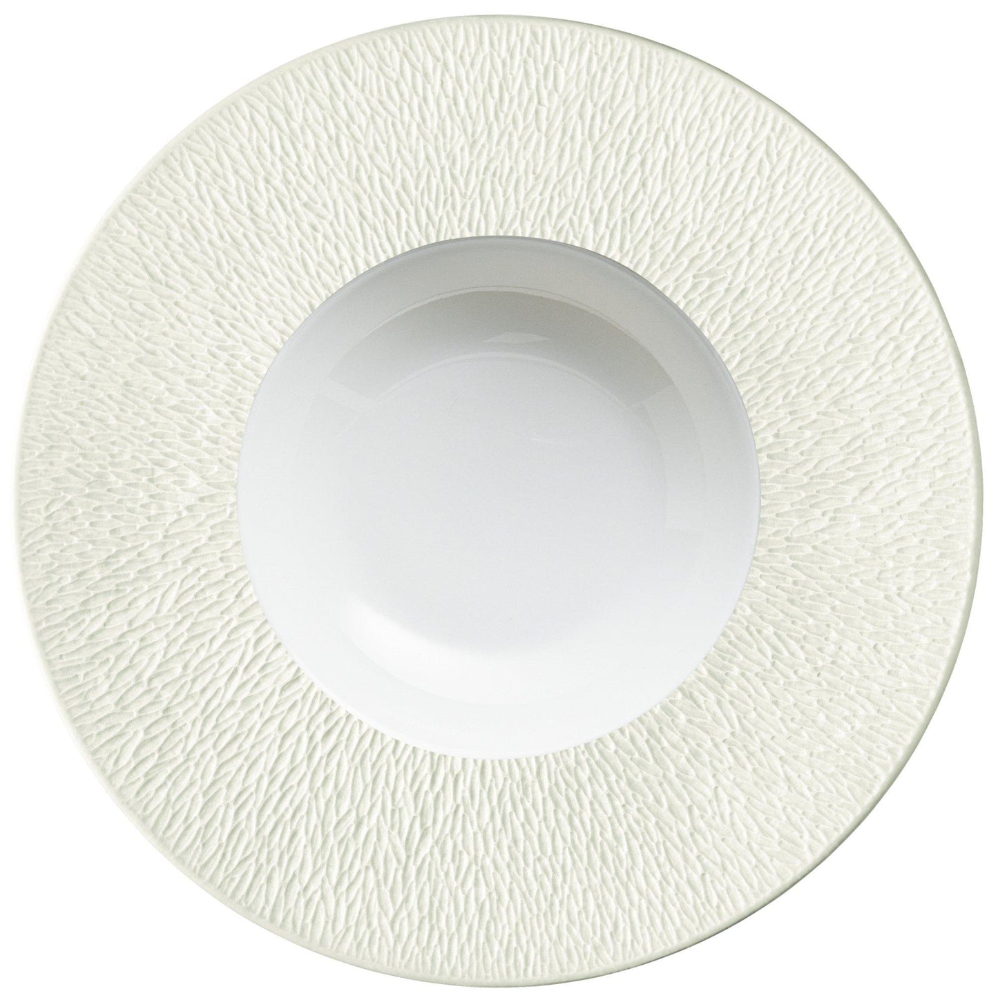 Mineral Irise Shell - Deep Plate with Engraved Rim 10.6 in