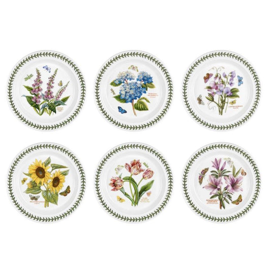 SET OF 6 ASSORTED PLATE DINNER 10.5"